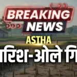 MP ASHTA NEWS: Rain and hail fell in Jawar and Mehtawada in Ashta. Damage to the wheat and gram crops is feared.