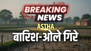 MP ASHTA NEWS : आष्टा के जावर और मेहतवाड़ा में बारिश और ओले गिरे. गेहूं-चना की फसल को नुकसान की आशंका
