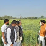 MP ASHTA NEWS: MLA Gopal Singh Engineer inspected the damage caused by hailstorm in Ashta. He visited the fields.