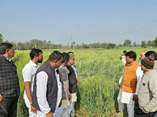 MP ASHTA NEWS: MLA Gopal Singh Engineer inspected the damage caused by hailstorm in Ashta. He visited the fields.
