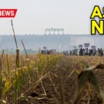 MP ASHTA NEWS : रामपुरा डैम नहर बंद होने से फसलें सूखने की कगार पर, किसानों में रोष जल्द खोलने की मांग