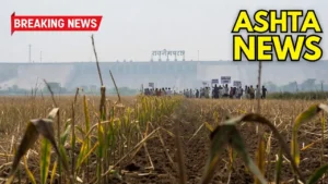 MP ASHTA NEWS : रामपुरा डैम नहर बंद होने से फसलें सूखने की कगार पर, किसानों में रोष जल्द खोलने की मांग