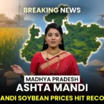 MP ASHTA NEWS 2026 : आष्टा में ओलावृष्टि का कहर. गेहूं और चने की फसलें बर्बाद. किसानों ने मांगा मुआवजा