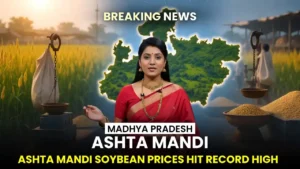 MP ASHTA NEWS 2026 : आष्टा में ओलावृष्टि का कहर. गेहूं और चने की फसलें बर्बाद. किसानों ने मांगा मुआवजा