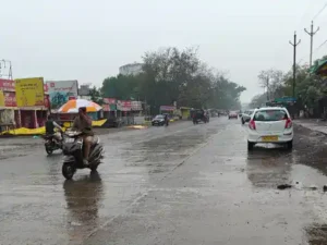 MP ASHTA NEWS : आष्टा में बेमौसम बारिश का कहर. गेहूं और चने की कटाई रुकी. किसानों को लाखों के नुकसान की आशंका. मौसम वैज्ञानिकों ने दी ये सलाह.